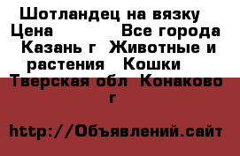 Шотландец на вязку › Цена ­ 1 000 - Все города, Казань г. Животные и растения » Кошки   . Тверская обл.,Конаково г.